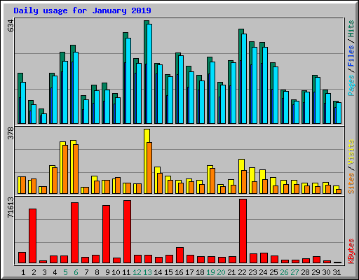 Daily usage for January 2019