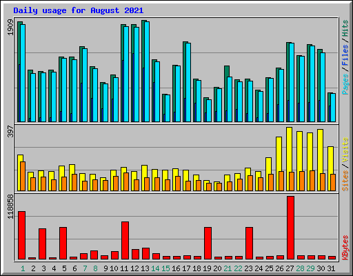 Daily usage for August 2021