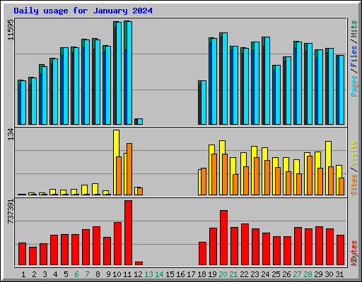 Daily usage for January 2024