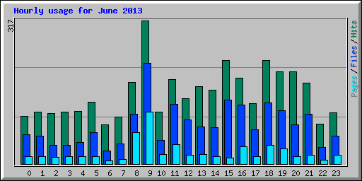 Hourly usage for June 2013