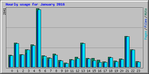 Hourly usage for January 2016