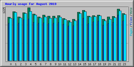 Hourly usage for August 2019
