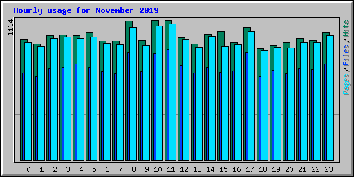 Hourly usage for November 2019