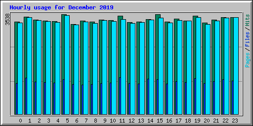 Hourly usage for December 2019