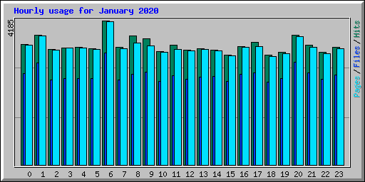 Hourly usage for January 2020