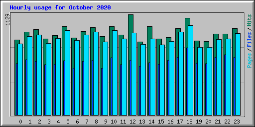 Hourly usage for October 2020