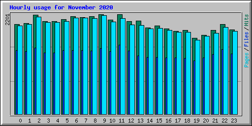 Hourly usage for November 2020