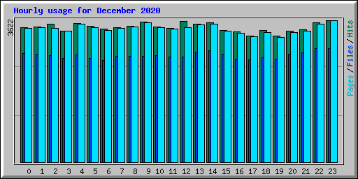 Hourly usage for December 2020