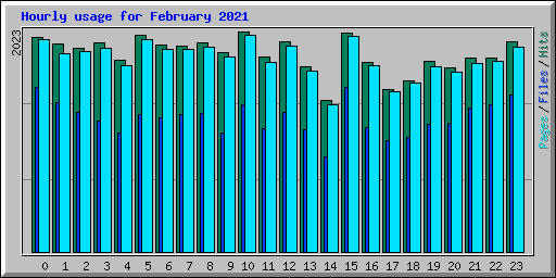 Hourly usage for February 2021