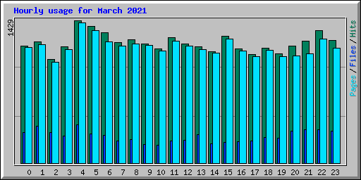 Hourly usage for March 2021