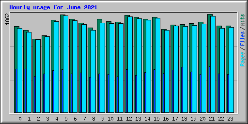 Hourly usage for June 2021