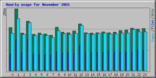 Hourly usage for November 2021