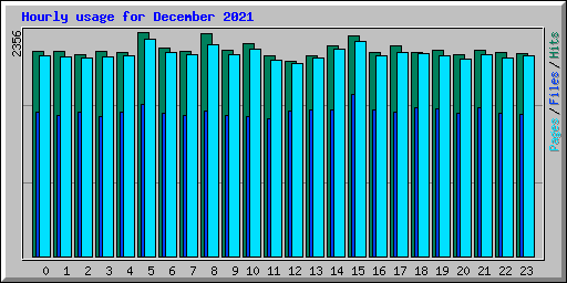 Hourly usage for December 2021