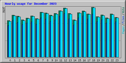 Hourly usage for December 2023