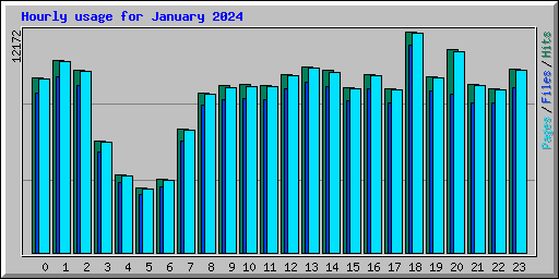Hourly usage for January 2024