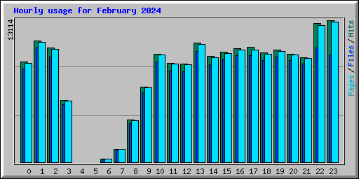 Hourly usage for February 2024