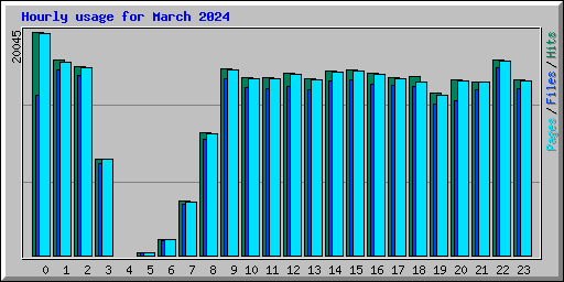 Hourly usage for March 2024
