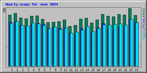 Hourly usage for June 2024