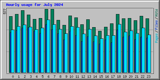 Hourly usage for July 2024