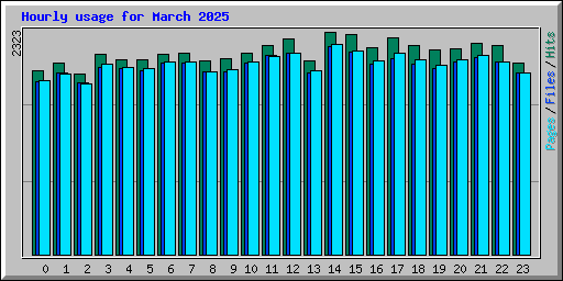 Hourly usage for March 2025