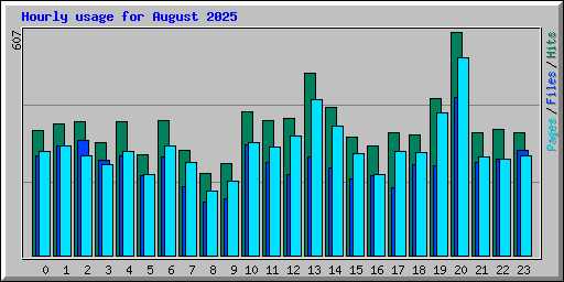 Hourly usage for August 2025