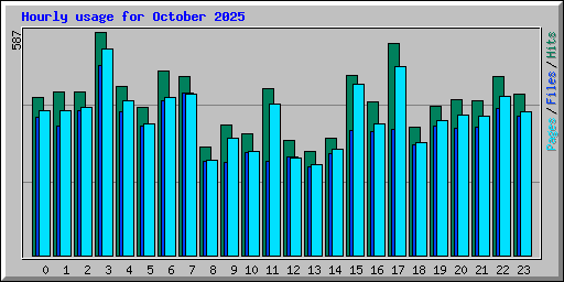 Hourly usage for October 2025