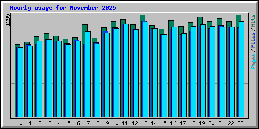 Hourly usage for November 2025