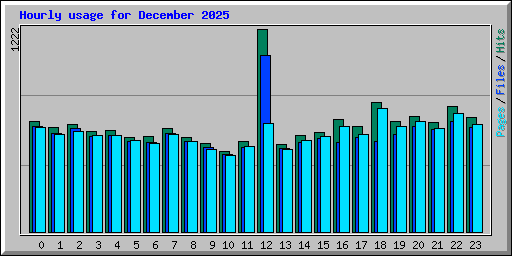 Hourly usage for December 2025