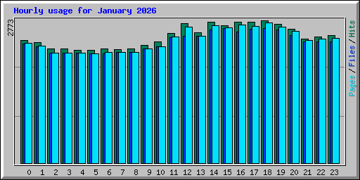 Hourly usage for January 2026